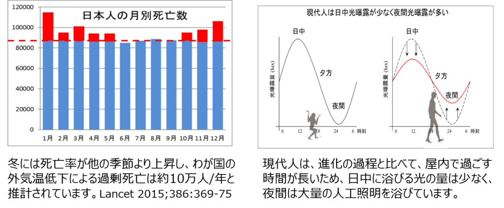 日本人の月別死亡率 冬には死亡率が他の季節より上昇し、わが国の外気温低下による過剰死亡は約10万人/年と推計されています。Lancet 2015;386:369-75 現代人は日中光暴露が少なく夜間光暴露が多い 現代人は、進化の過程と比べて、屋内で過ごす時間が長いため、日中に浴びる光の量は少なく、夜間は大量の人工照明を浴びています。
